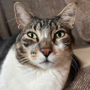 Meet your Posher, Greta